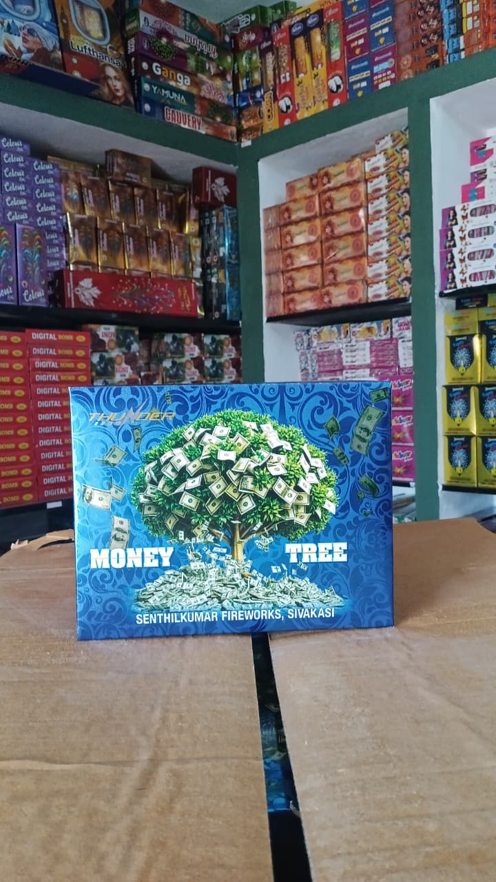 Money Tree 2 Pcs